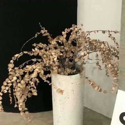 兽设冰雪元素设计兽圈社群